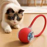 La Pelota Interactiva para Mascotas