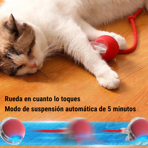 La Pelota Interactiva para Mascotas
