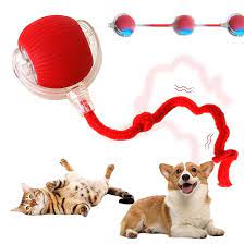 La Pelota Interactiva para Mascotas